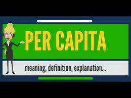 What Does Per Capita Mean?